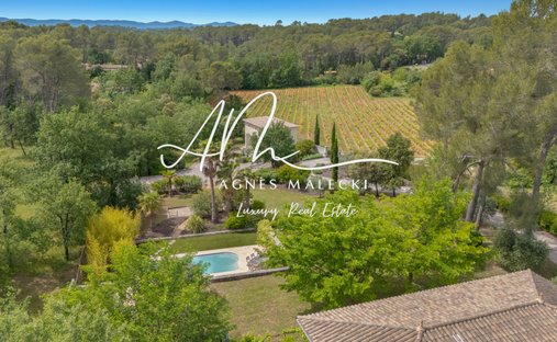 Estate in Trans-en-Provence, Provence-Alpes-Côte d'Azur, France 1
