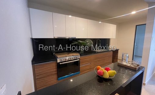 Apartment in Mexico City, Mexico 1