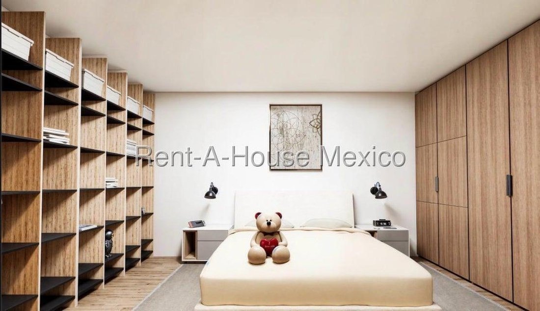 House in Santa Catarina Yecahuitzotl, Mexico City, Mexico 3 - 18985426