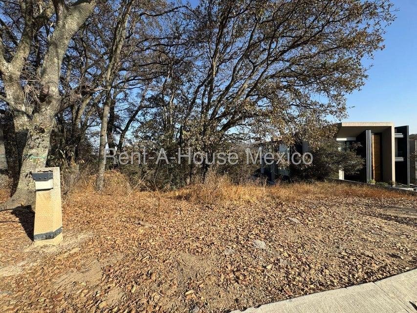 Land in Ciudad López Mateos, State of Mexico, Mexico 2 - 18985413