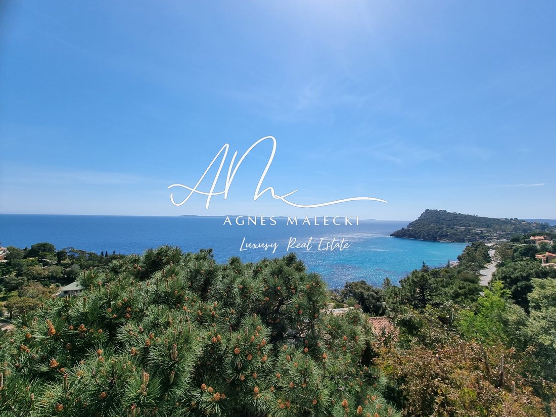 Villa in Rayol-Canadel-sur-Mer, Provence-Alpes-Côte d'Azur, France 1 - 18986665