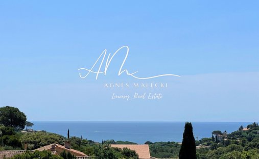 Estate in Nord, Cavalaire-sur-Mer, France 1
