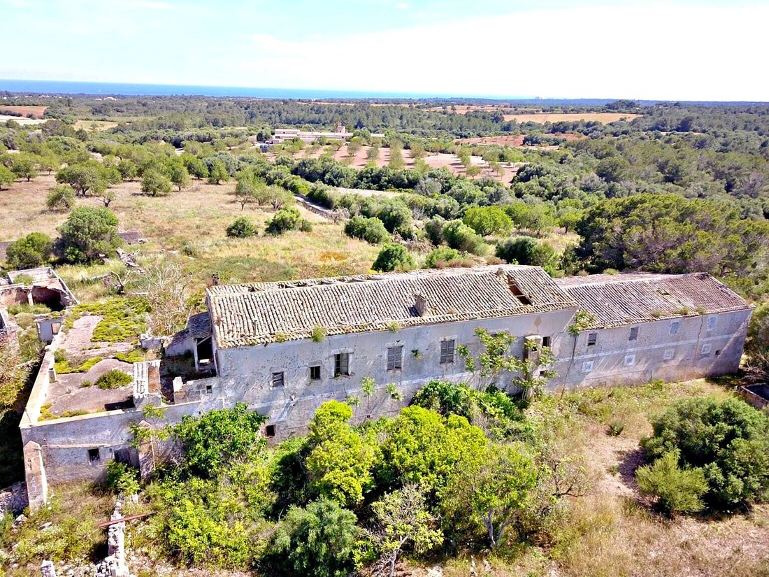Finca in Manacor, Balearic Islands, Spain 2 - 18985844