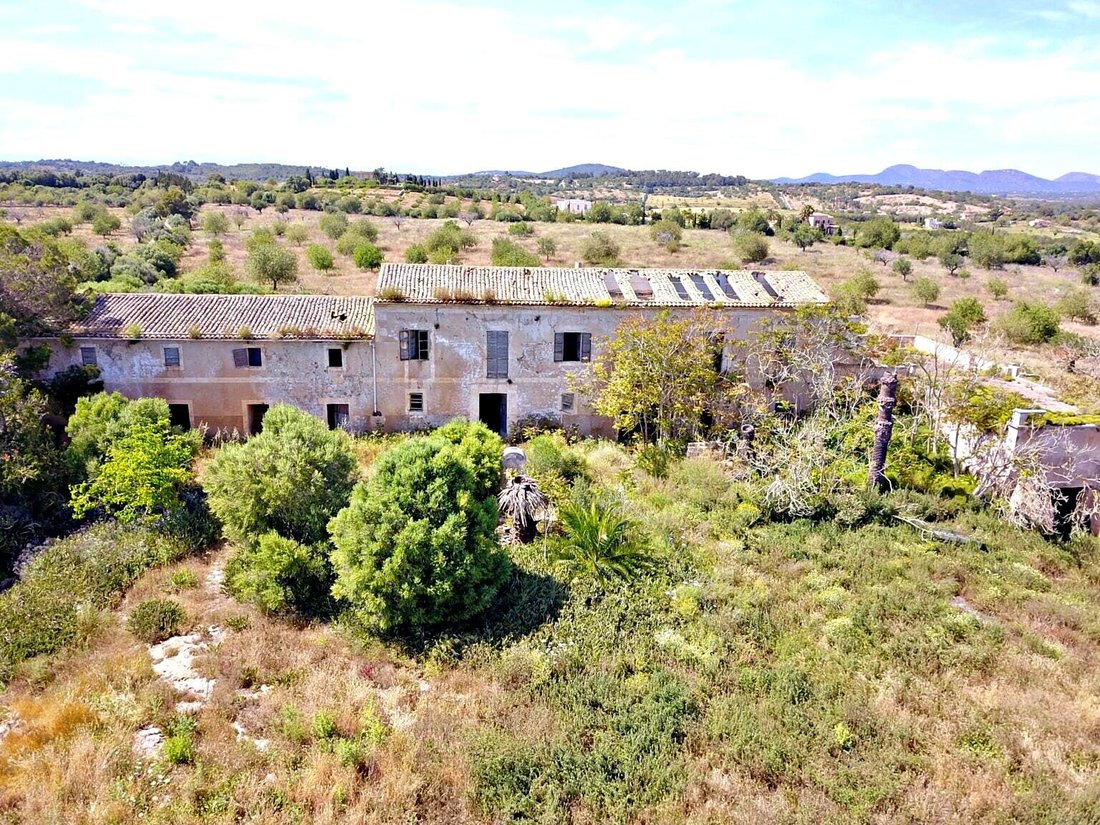 Finca in Manacor, Balearic Islands, Spain 5 - 18985844