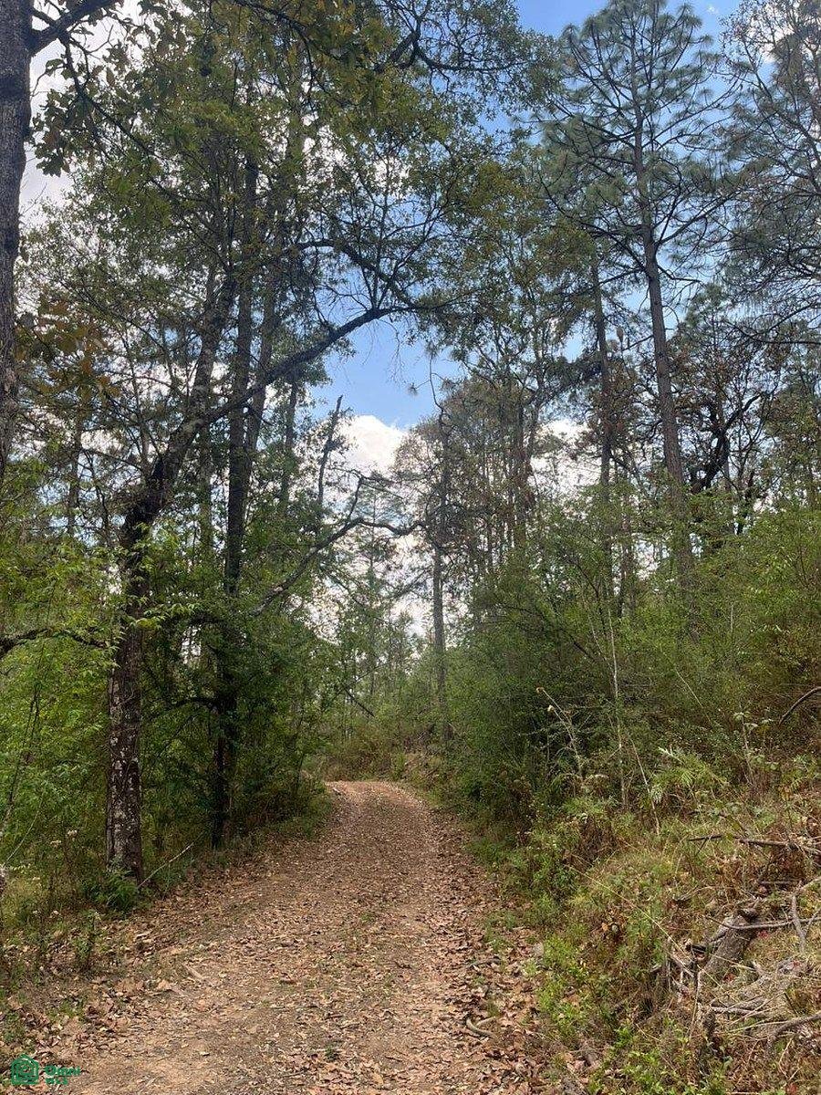 Land in Los Espinos, Jalisco, Mexico 5 - 17810826
