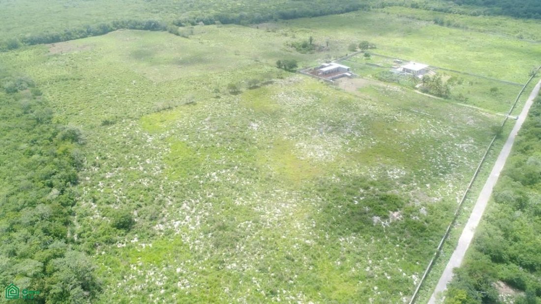 Land in Yalcón, Yucatan, Mexico 2 - 18863838