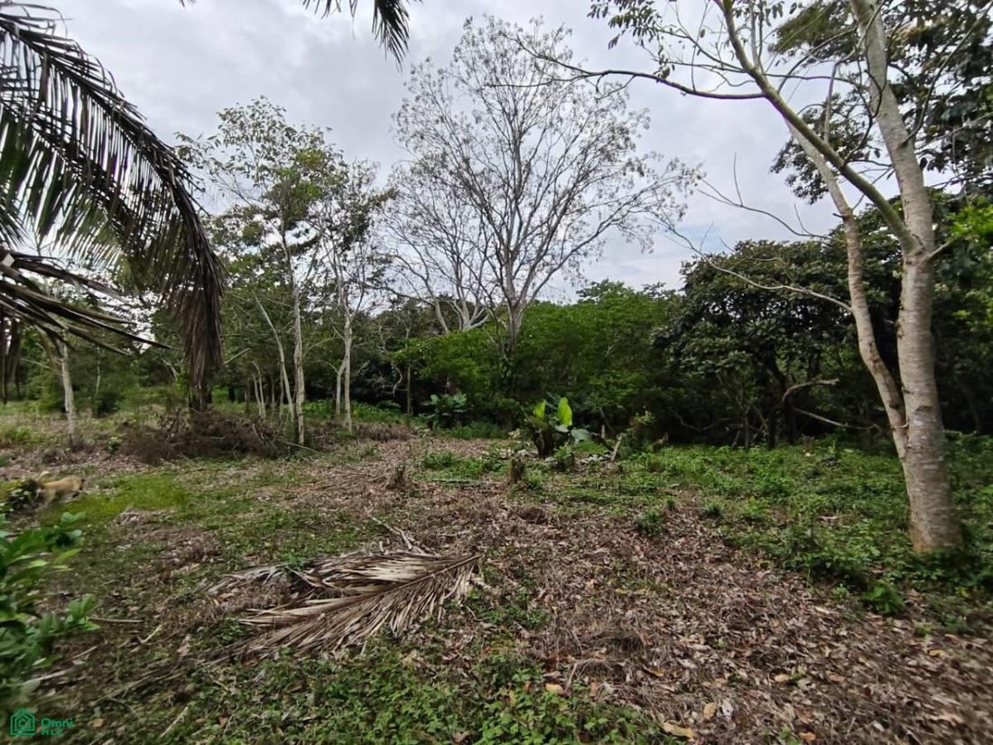 Land in Hermenegildo J. Aldana, Veracruz, Mexico 3 - 18257242