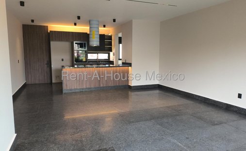 Apartment in Mexico City, Mexico 1