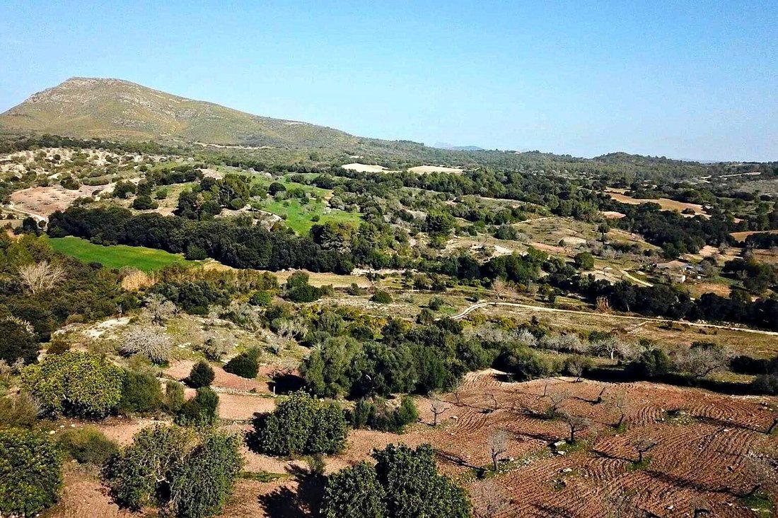 Finca in Sant Llorenc des Cardassar, Balearic Islands, Spain 4 - 18985808