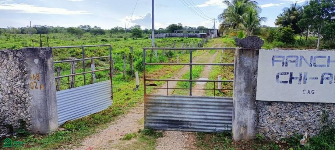 Land in Yalcón, Yucatan, Mexico 4 - 18863838