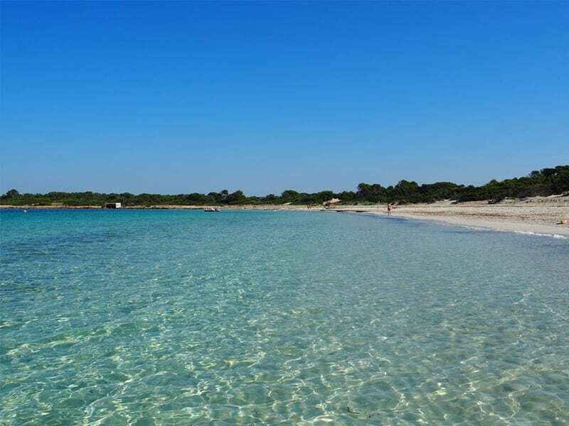 Apartment in ses Salines, Balearic Islands, Spain 5 - 18985916