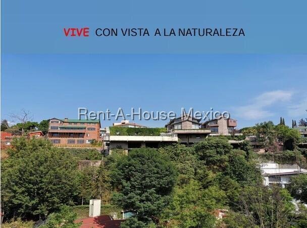 Apartment in Mexico City, Mexico 5 - 18986715