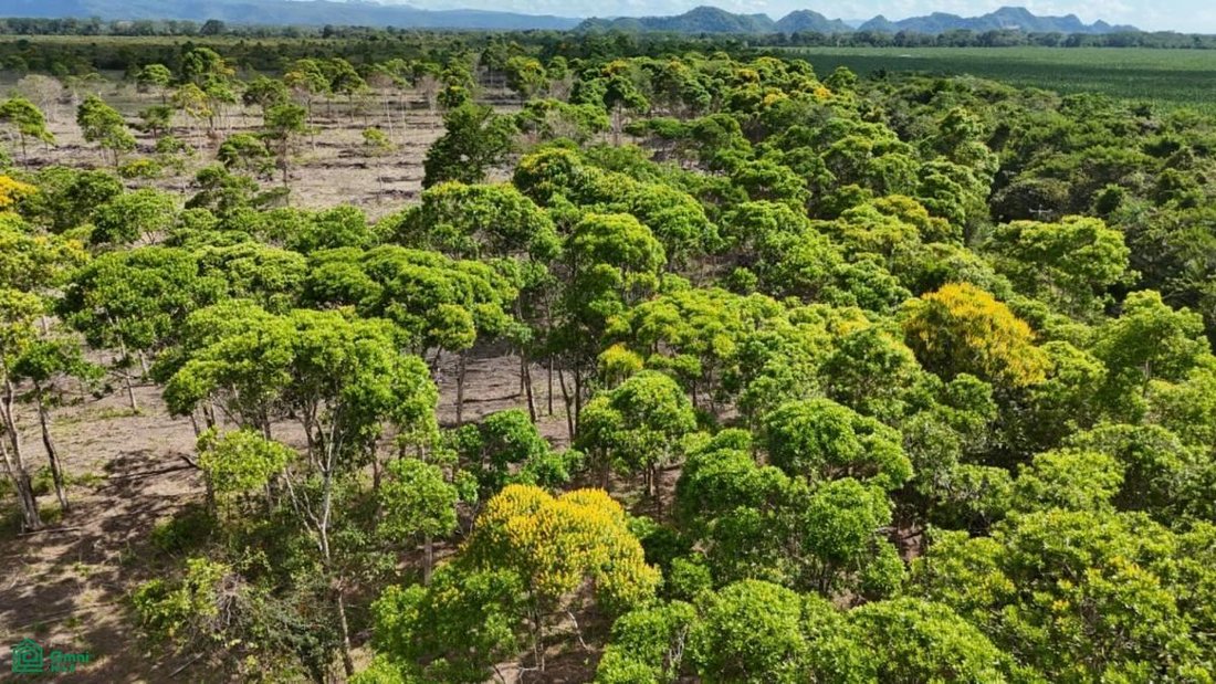 Terrain en Bladen, Tolède, Belize 1 - 18705365