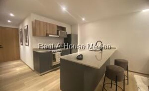 Apartment in Mexico City, Mexico 1