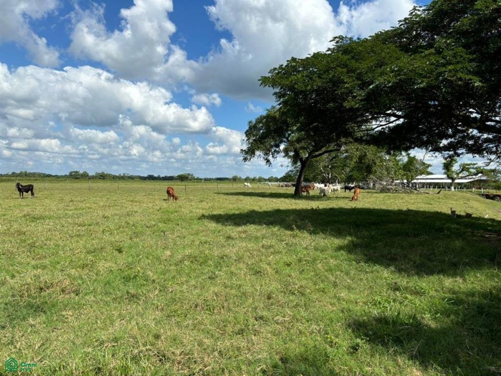 Terreno a San Lucas, Tabasco, Messico 5 - 18822991