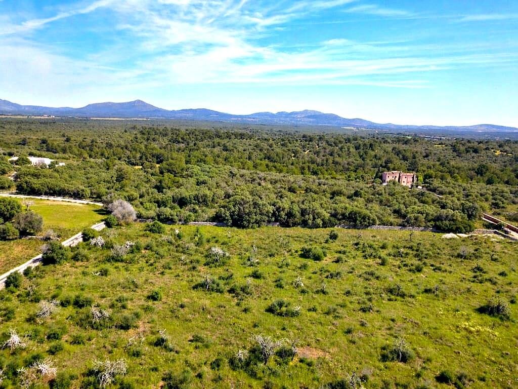 Land in Santa Margalida, Balearic Islands, Spain 5 - 18985566