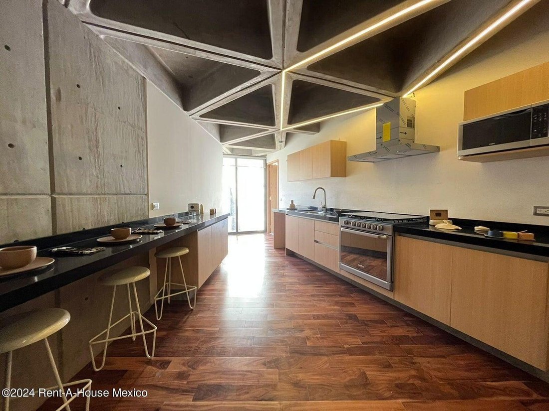 Apartment in Mexico City, Mexico 5 - 18985153