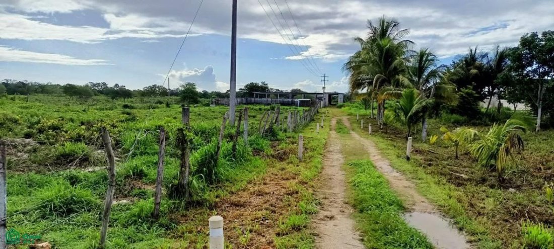 Land in Yalcón, Yucatan, Mexico 5 - 18863838