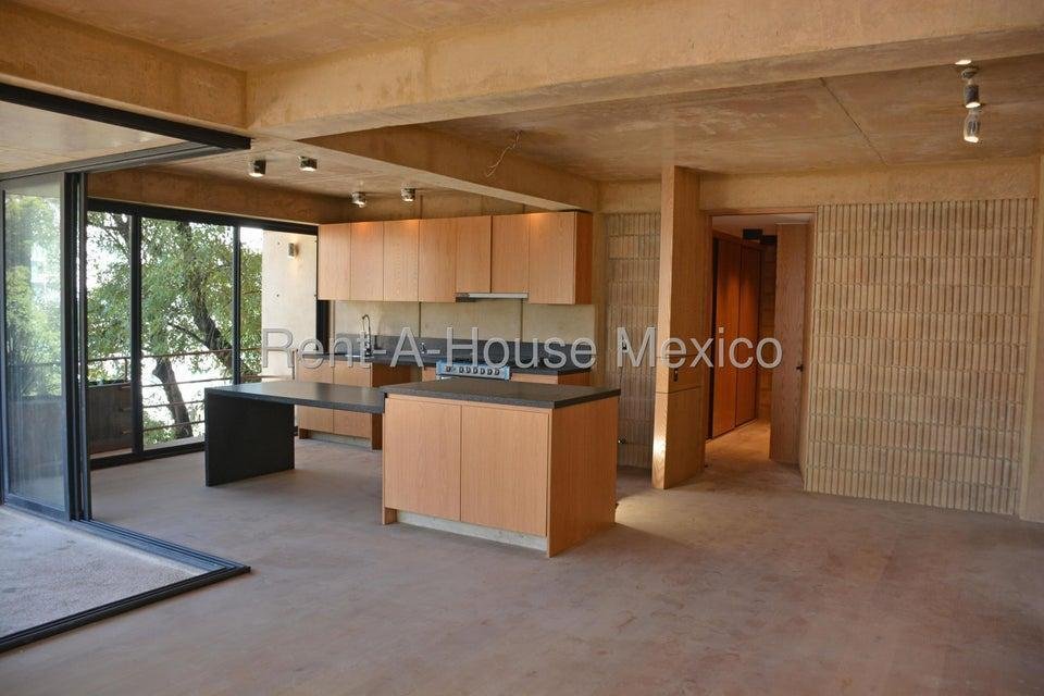 Apartment in Mexico City, Mexico 4 - 18986827