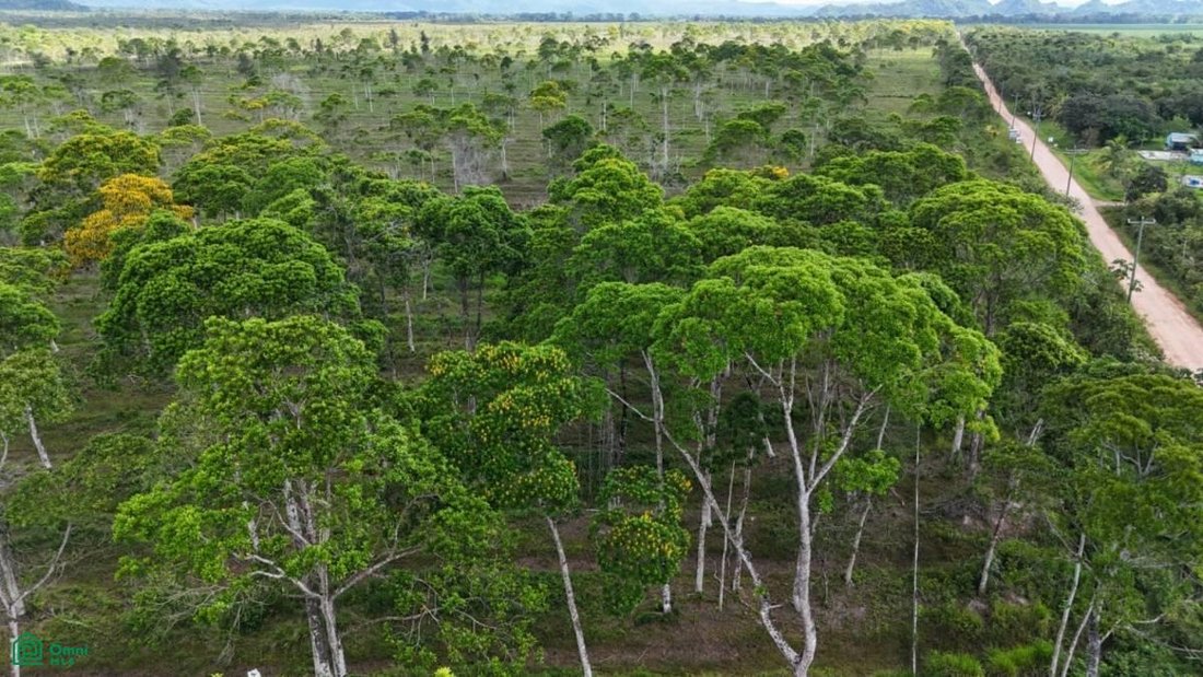 Terrain en Bladen, Tolède, Belize 3 - 18705365