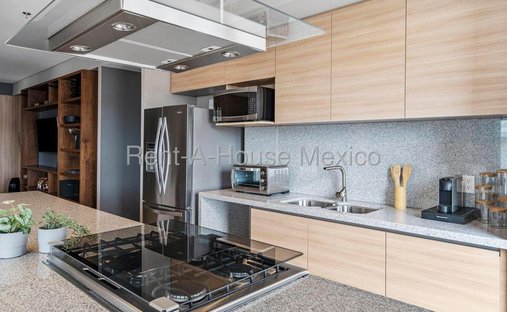 Apartment in Mexico City, Mexico 1