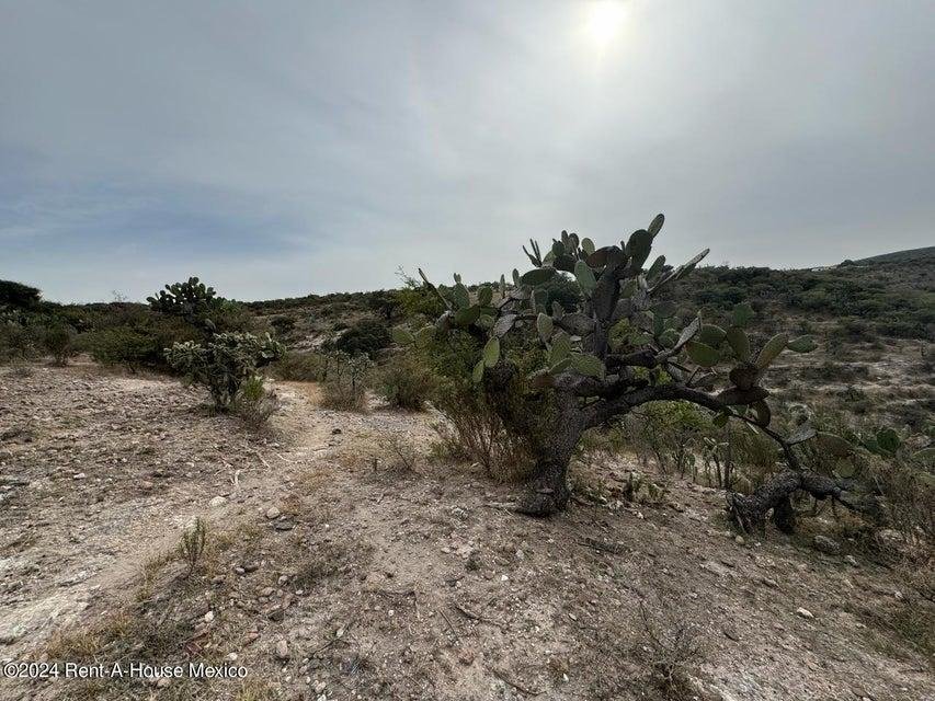 Land in Tepeji, Hidalgo, Mexico 2 - 18985179