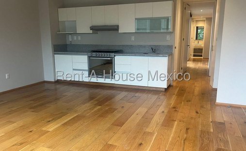 Apartment in Mexico City, Mexico 1