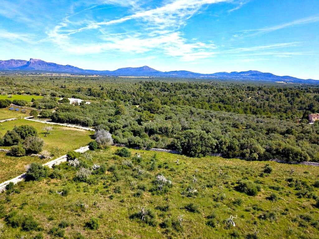 Land in Santa Margalida, Balearic Islands, Spain 2 - 18985566
