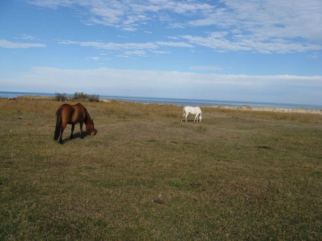 Land in Barra del Chuy, Rocha Department, Uruguay 3 - 18984135