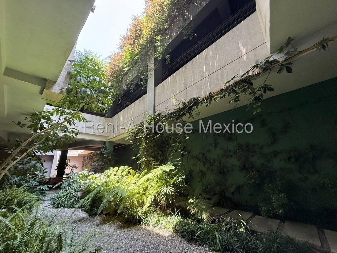 House in Naucalpan de Juárez, State of Mexico, Mexico 4 - 18986288