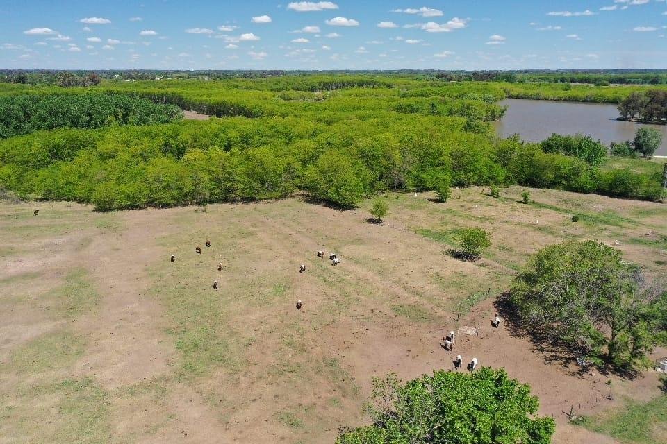 Land in Manzanares, Buenos Aires Province, Argentina 5 - 18986901