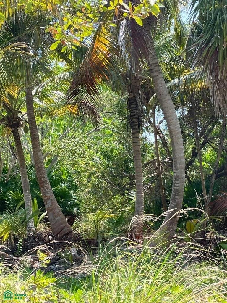 Land in San Pedro, Belize District, Belize 4 - 18001678