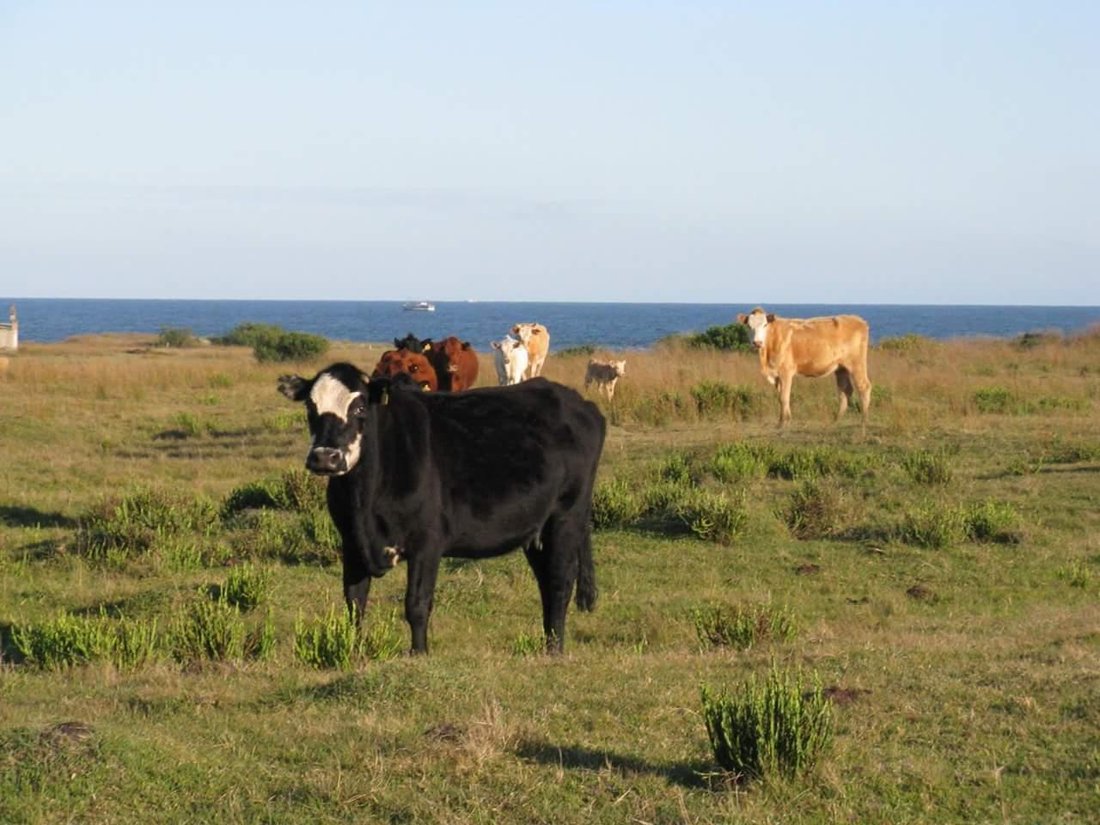 Land in Barra del Chuy, Rocha Department, Uruguay 5 - 18984135