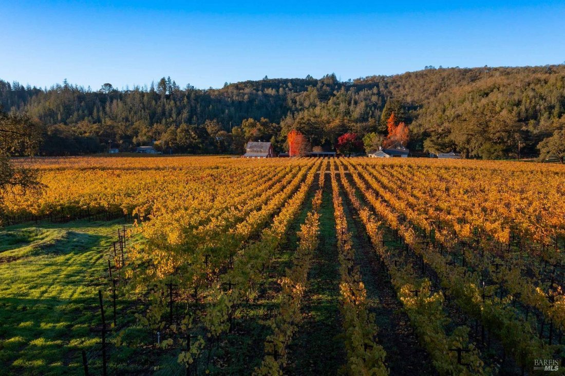 House in St. Helena, California, United States 5 - 18984123