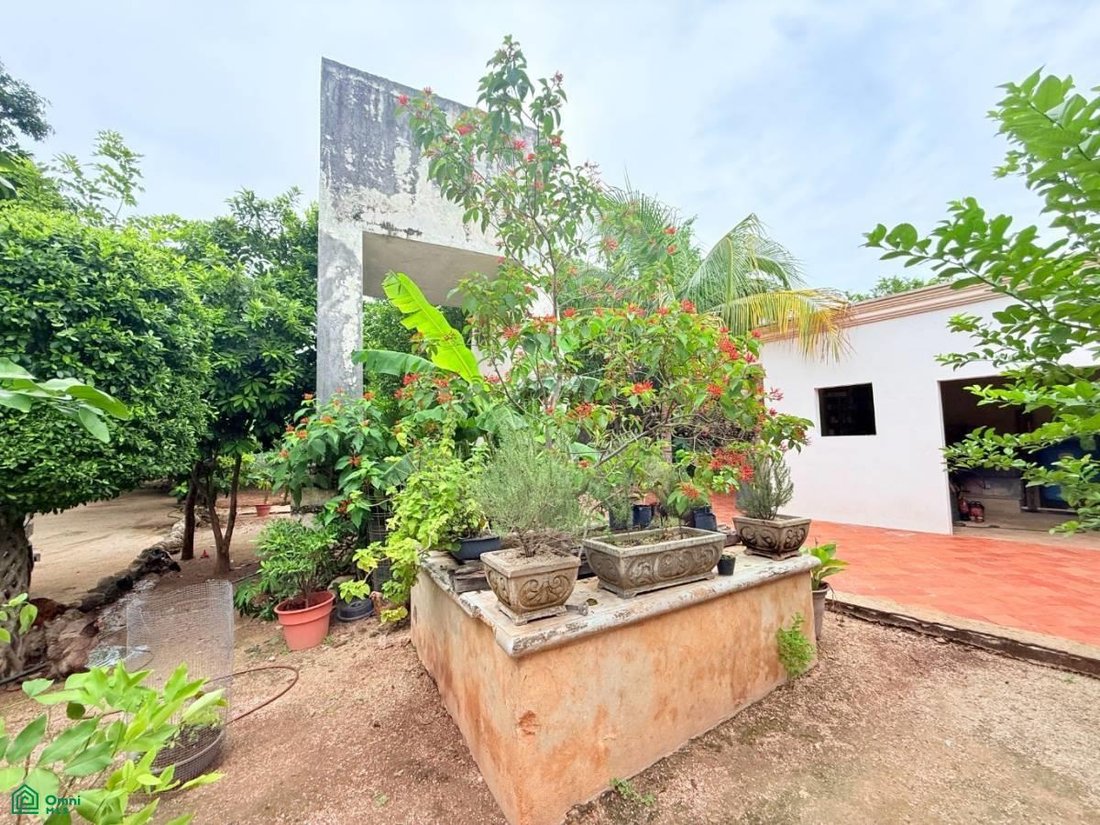 Condo in Motul, Yucatan, Mexico 5 - 18468202