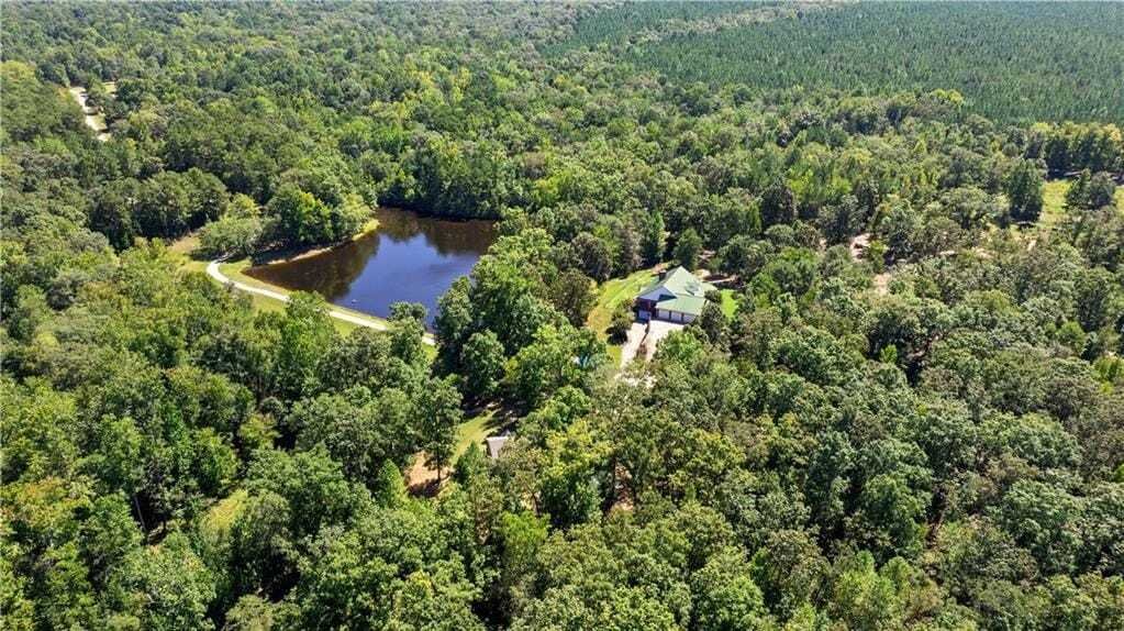 House in Molena, Georgia, United States 4 - 18984801
