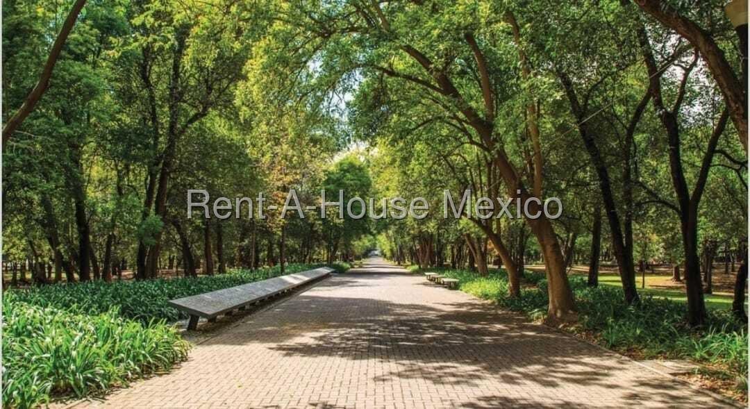Apartment in Mexico City, Mexico 4 - 18984485