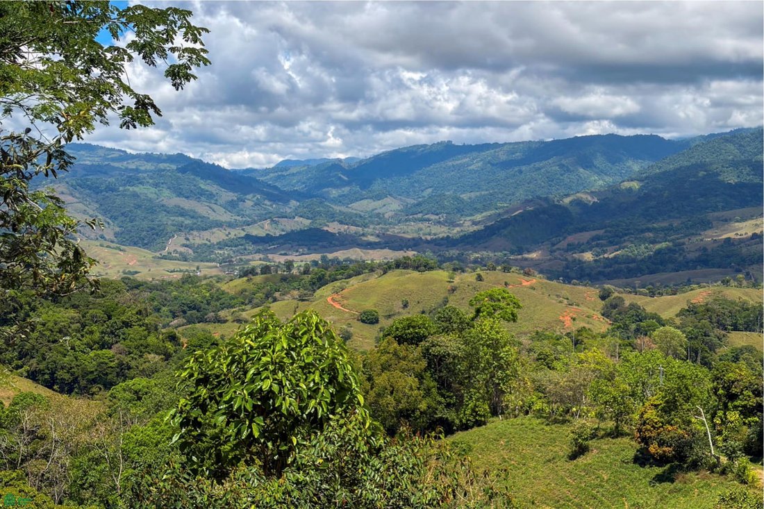 Terreno a Barú, Cantone di Pérez Zeledón, Costa Rica 5 - 18517240
