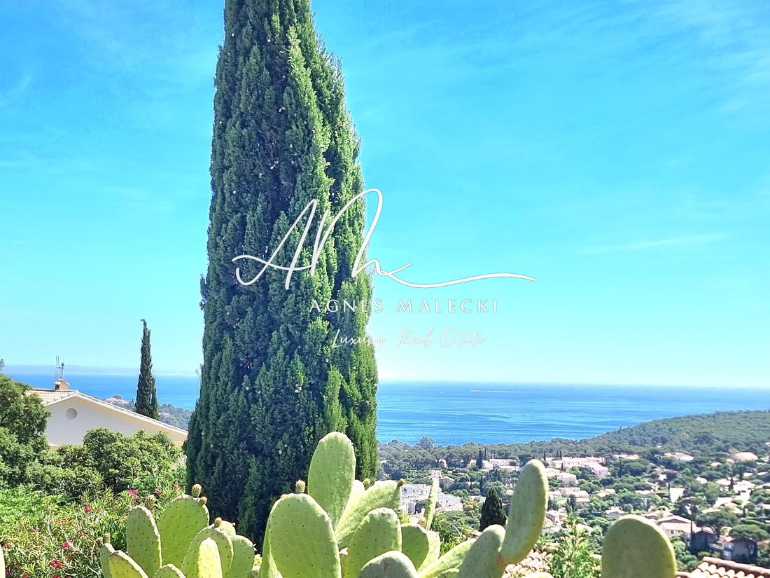 Estate in Nord, Cavalaire-sur-Mer, France 5 - 17078326