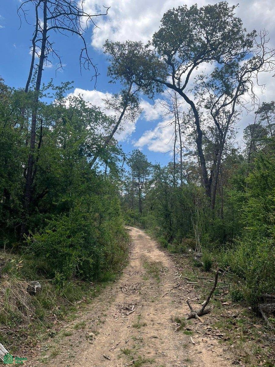 Land in Los Espinos, Jalisco, Mexico 4 - 17810826
