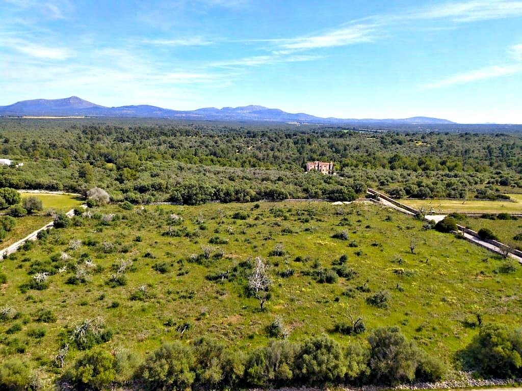 Land in Santa Margalida, Balearic Islands, Spain 3 - 18985566