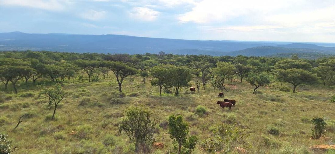 Farm Ranch in Koster, North West, South Africa 1 - 18986879