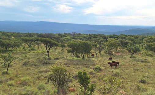 Farm Ranch in Koster, North West, South Africa 1