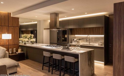 Apartment in Mexico City, Mexico 1
