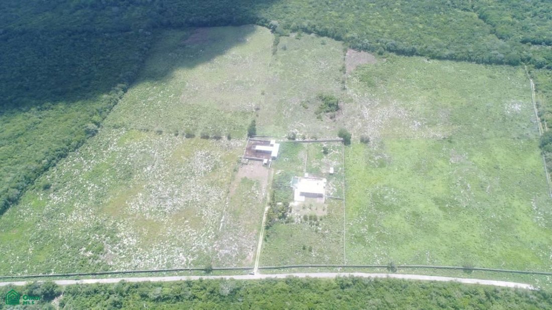 Land in Yalcón, Yucatan, Mexico 1 - 18863838