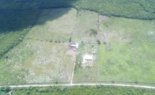 Land in Yalcón, Yucatan, Mexico 1