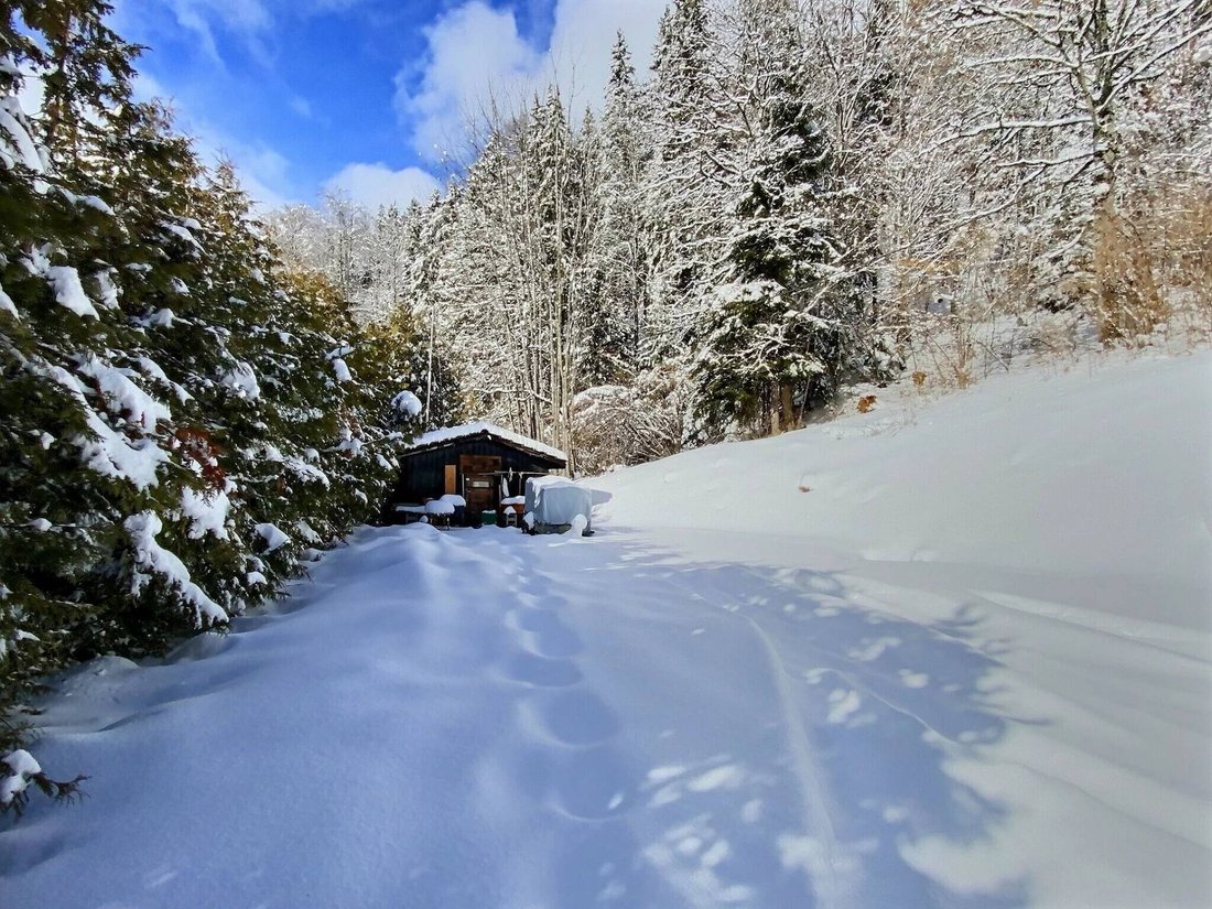 Chalet in Villars-sur-Ollon, Ollon, Vaud 4 - 18532327