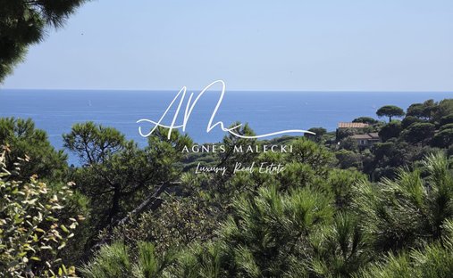 Estate in La Croix-Valmer, Provence-Alpes-Côte d'Azur, France 1