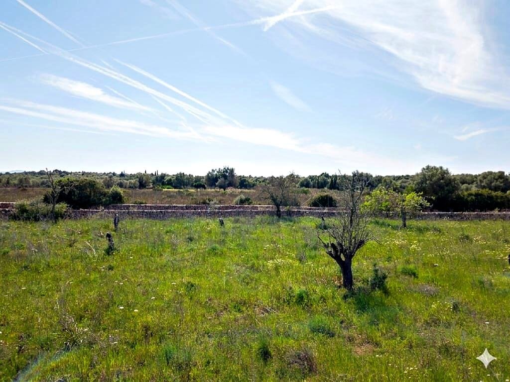 Land in Santa Margalida, Balearic Islands, Spain 4 - 18985566