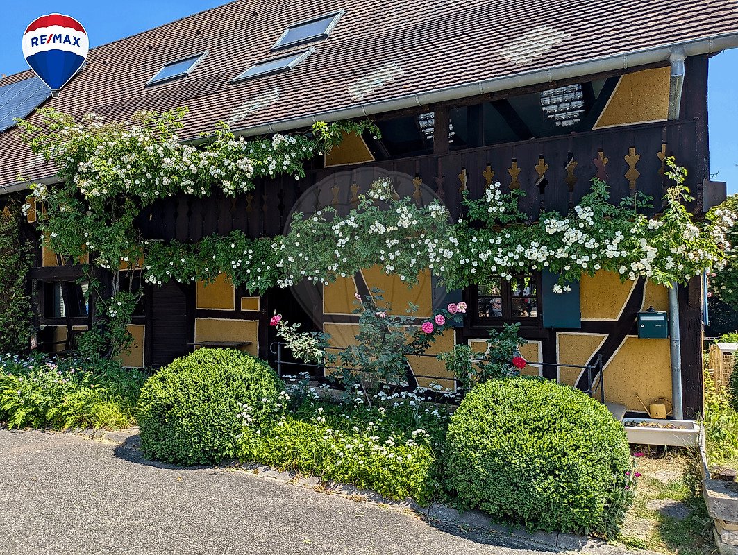 House in Hagenthal-le-Haut, Grand Est, France 2 - 18986487